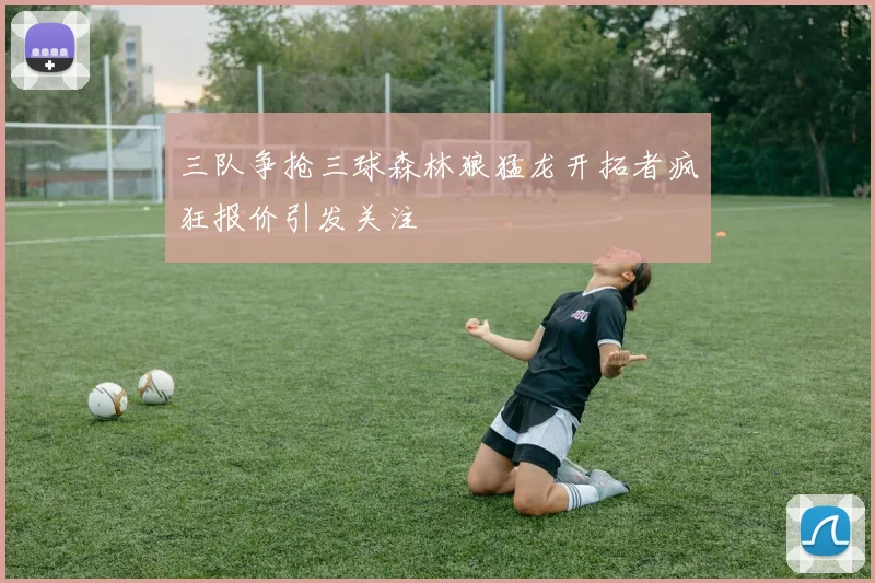 三队争抢三球森林狼猛龙开拓者疯狂报价引发关注
