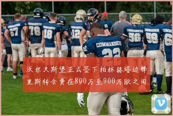沃尔夫斯堡正式签下柏林赫塔边锋里斯转会费在800万至900万欧之间