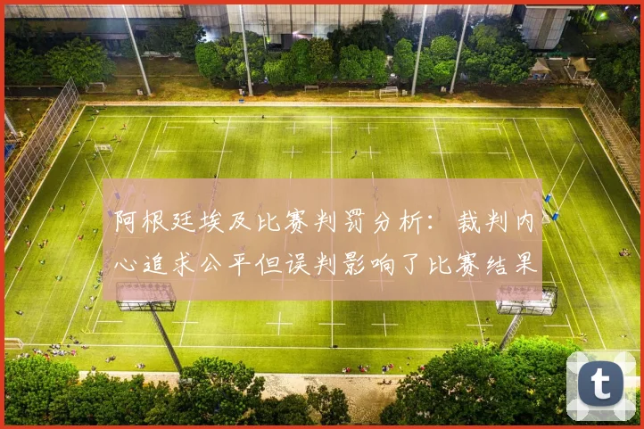 阿根廷埃及比赛判罚分析：裁判内心追求公平但误判影响了比赛结果