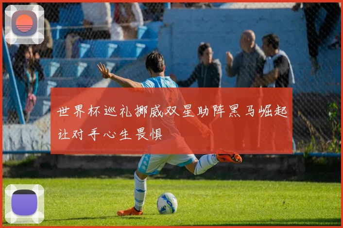 世界杯巡礼挪威双星助阵黑马崛起让对手心生畏惧